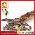 Roasted Sunflower Seed Hot Sale New Crop